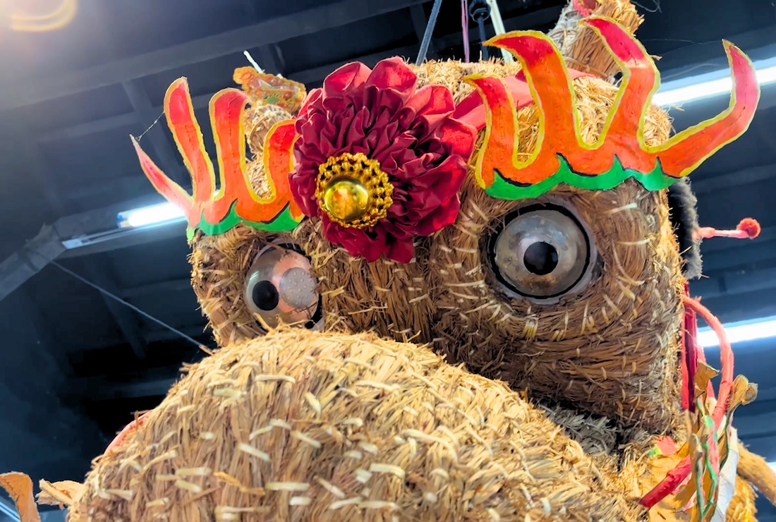 Dance of the Fire Dragon